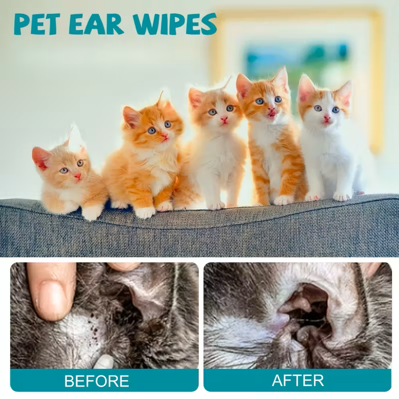 Catson Care CleanPaws™