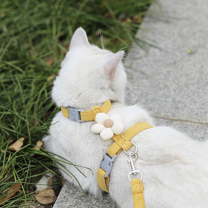 Catson BloomHarness™ – Ausbruchsicheres Katzengeschirr mit Blütendetail