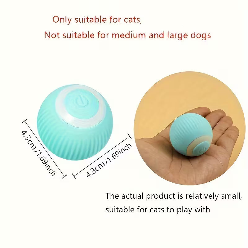 Catson · Motion Play Ball™