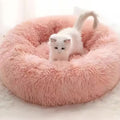 Catson · Cozy Nest Bed
