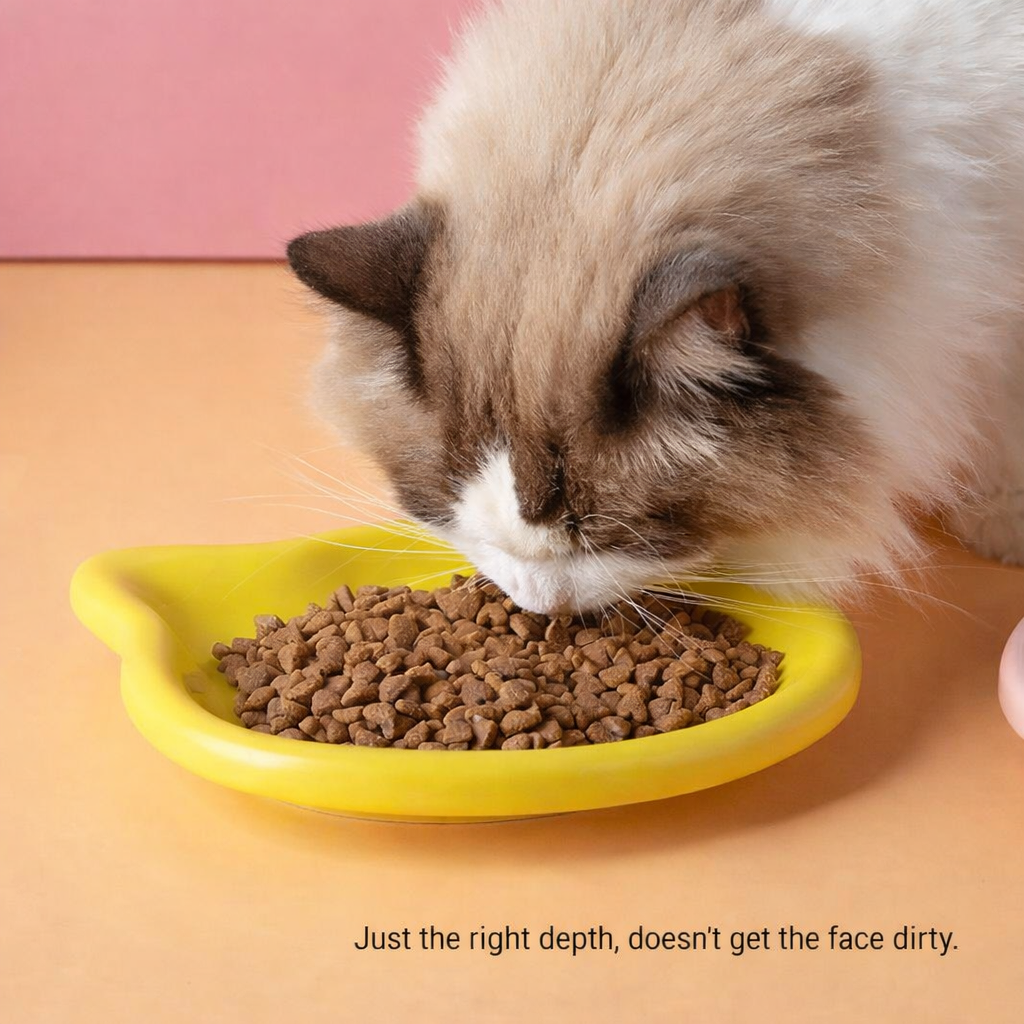 Catson · Whisker-Friendly Bowl