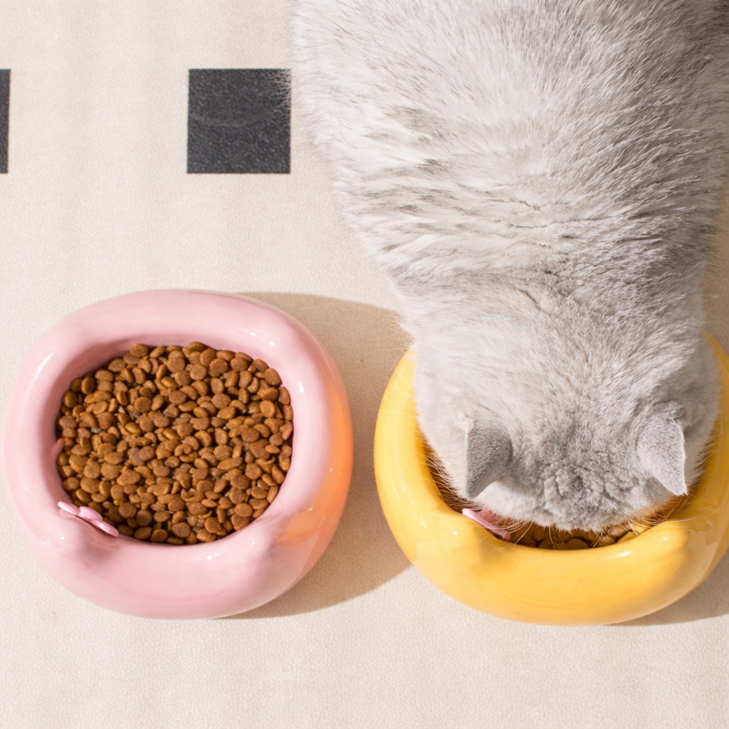 Catson · Ceramic Kit Bowl