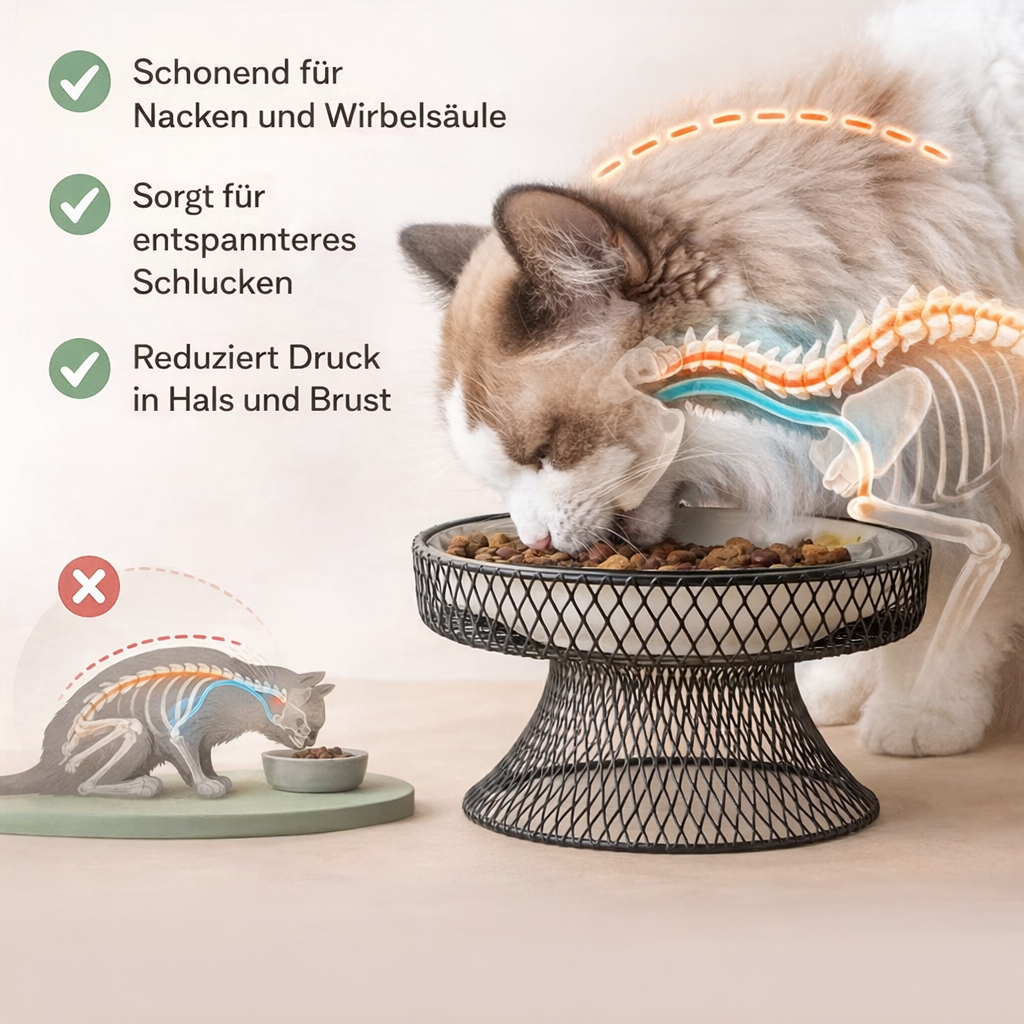 Catson · Boho Lift Bowl Grande