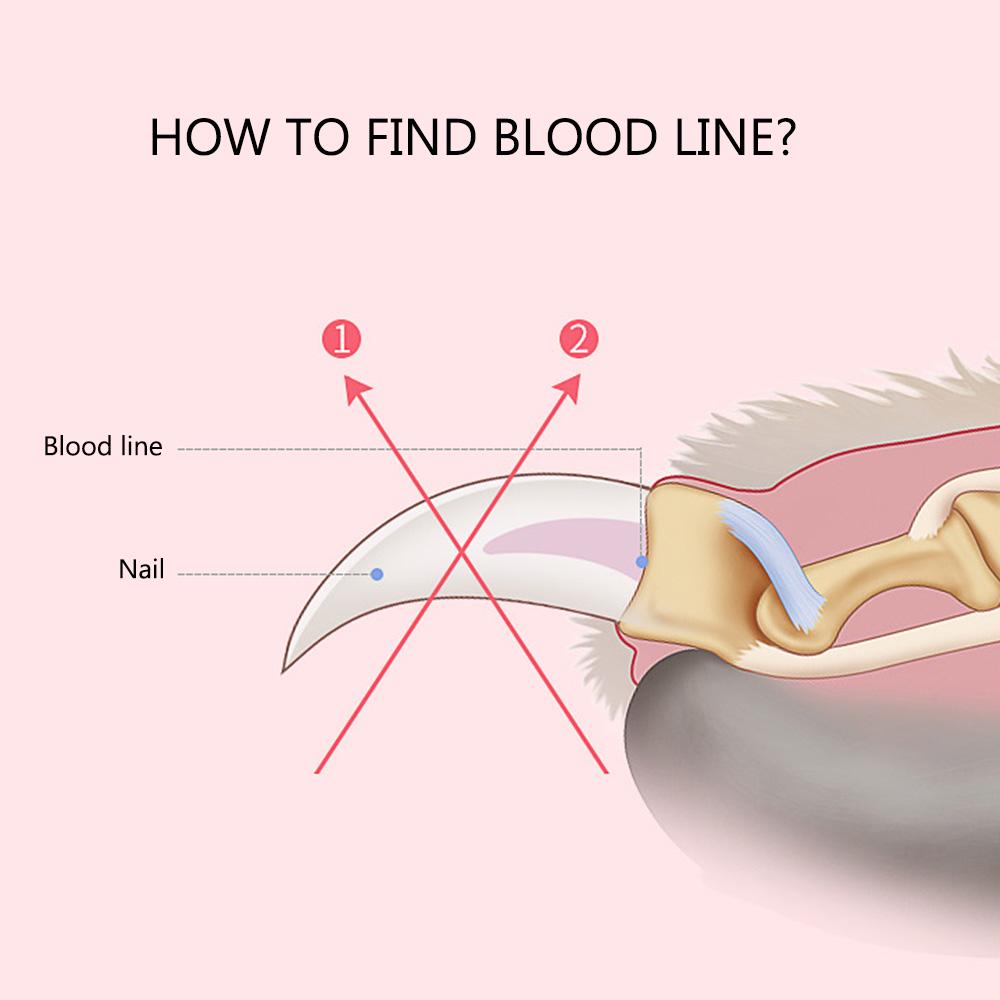 Catson Care Precision Nail Clipper (3er-Set)