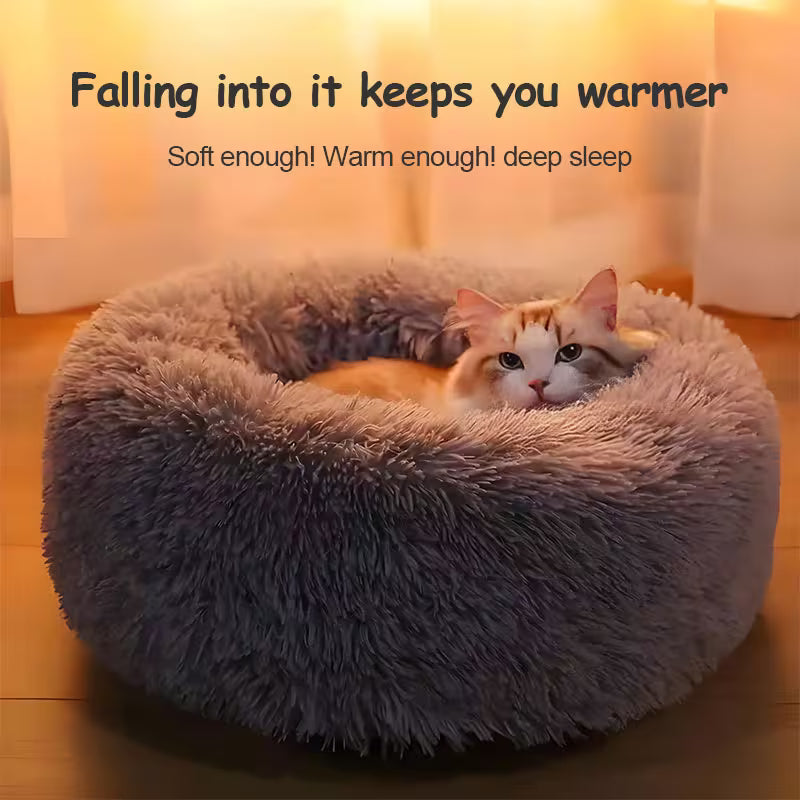 Catson · Cozy Nest Bed