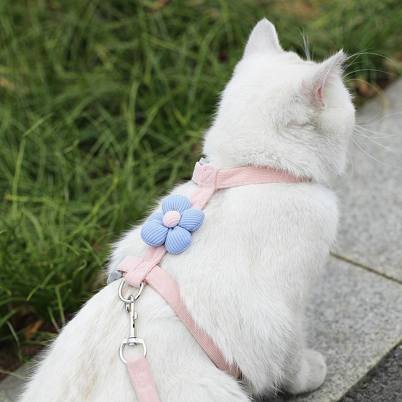 Catson BloomHarness™ – Ausbruchsicheres Katzengeschirr mit Blütendetail