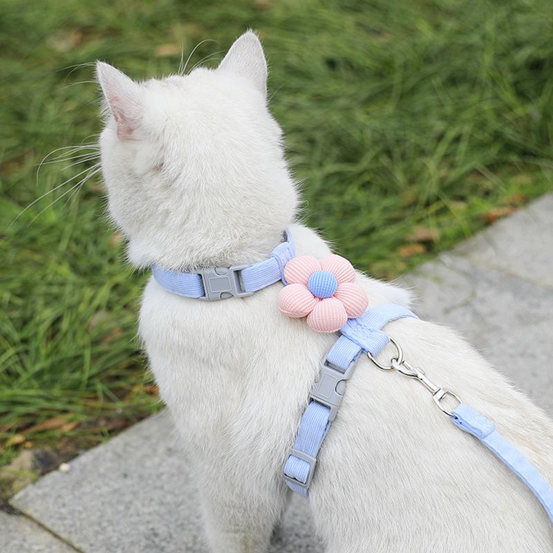 Catson BloomHarness™ – Ausbruchsicheres Katzengeschirr mit Blütendetail