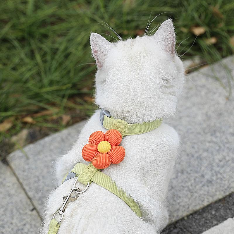 Catson BloomHarness™ – Ausbruchsicheres Katzengeschirr mit Blütendetail