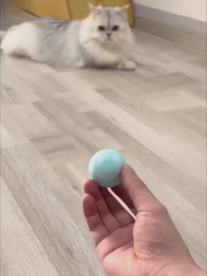 Catson · Motion Play Ball™